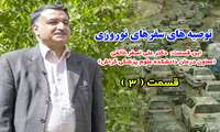 توصیه های سفرهای نوروزی قسمت سوم